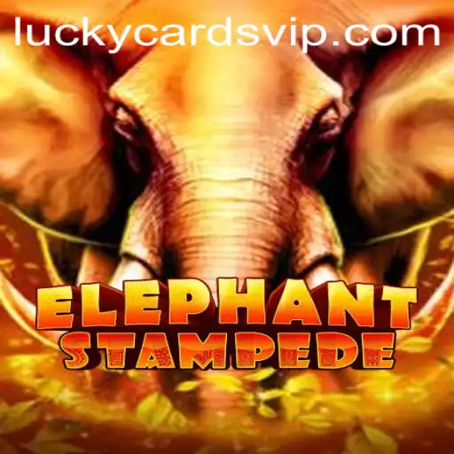 Explore the Thrill of ElephantStampede: A Dive into LuckyCards
